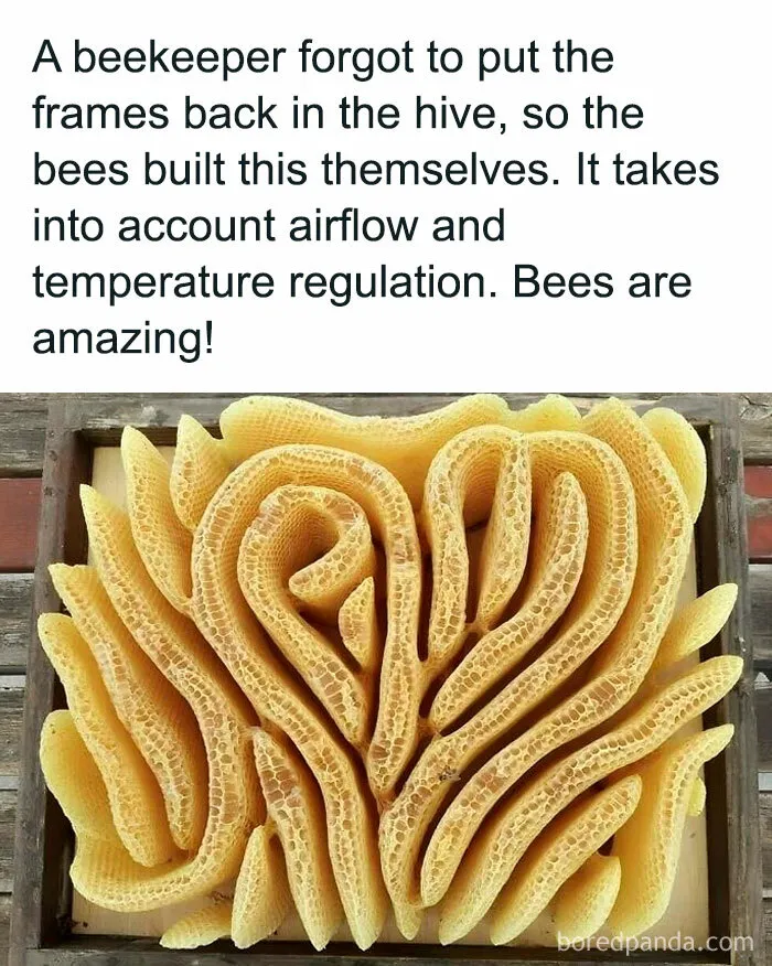 30 Hilarious Memes For The Inner Nerd In Most Of Us, As Shared By This Facebook Group (New Pics)