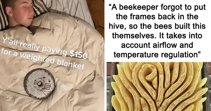 30 Hilarious Memes For The Inner Nerd In Most Of Us, As Shared By This Facebook Group (New Pics)