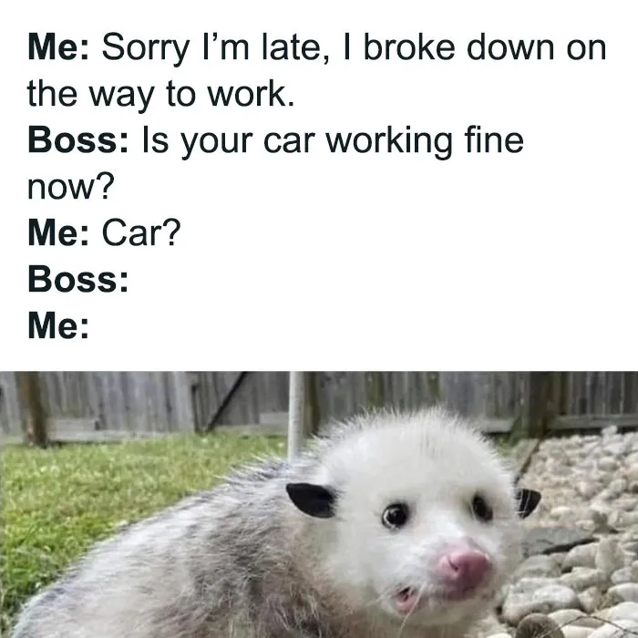 Hey Pandas, Send Me Your Funniest Meme