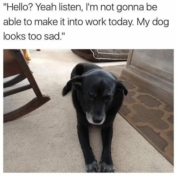 50 Hilarious Memes About Office Life That You'll Probably Want To Share With Your Coworkers