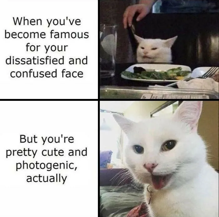 50 Funny And Wholesome Memes That Are Just Harmless, As Shared On "Respectful Memes" (New Pics)