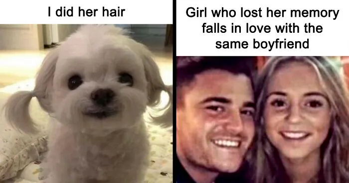 50 Funny And Wholesome Memes That Are Just Harmless, As Shared On "Respectful Memes" (New Pics)