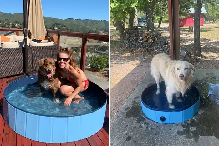 Este anuncio de Facebook decepcionó hasta a mi perro