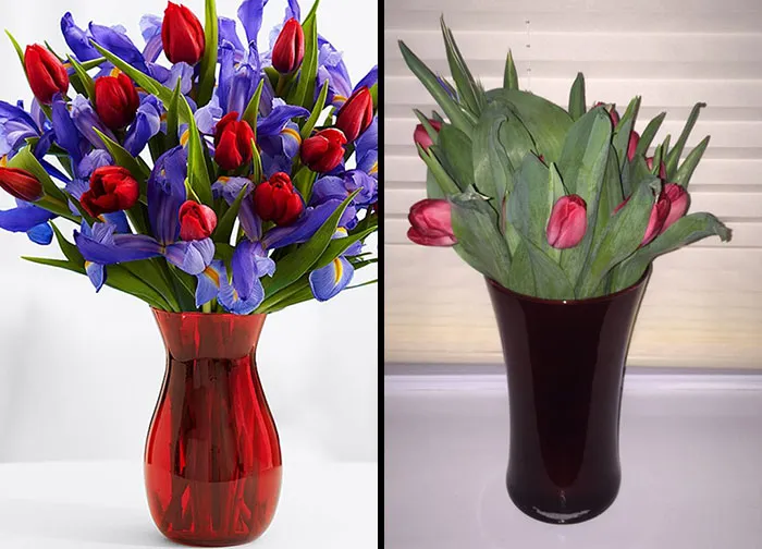 Mi hermoso pedido de ProFlowers