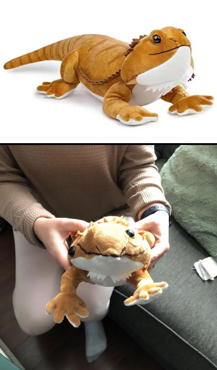 Mi madre pidió esto por internet