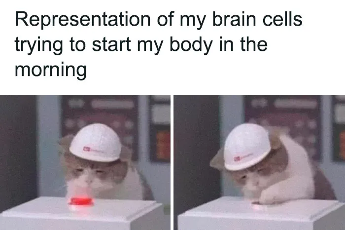 "The Narcoleptic Goddess" Facebook Page Is Dedicated To Funny And Relatable Memes, And Here Are 50 Of The Best Ones