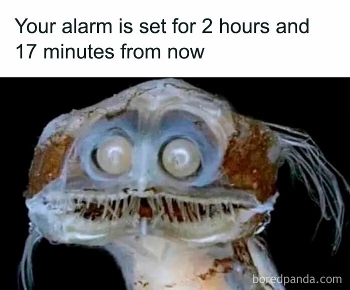 "The Narcoleptic Goddess" Facebook Page Is Dedicated To Funny And Relatable Memes, And Here Are 50 Of The Best Ones
