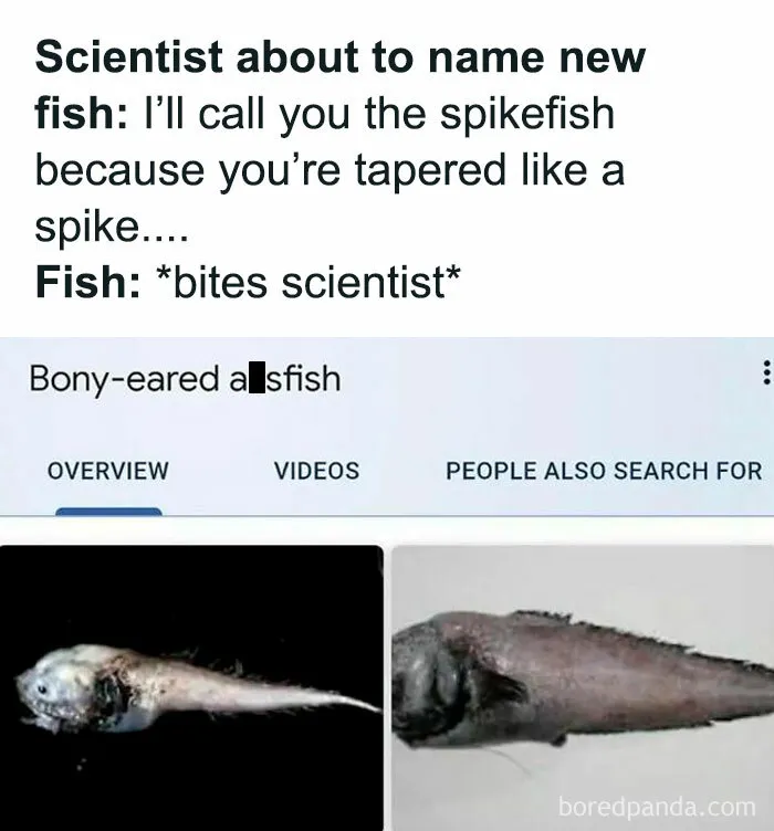 50 Spot-On Science Memes That Might Make You Feel Smarter