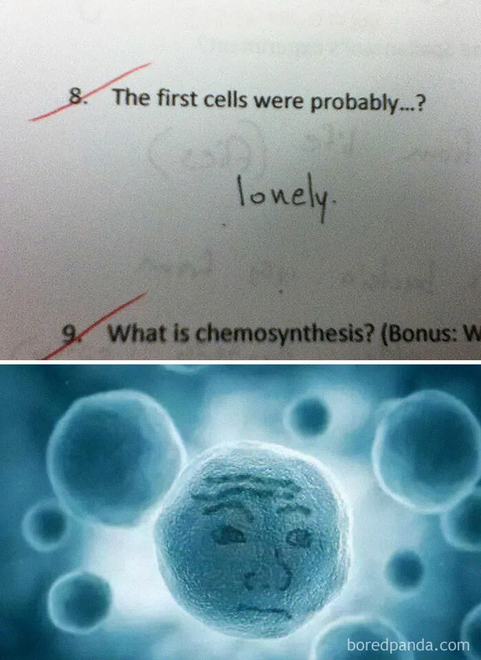 50 Spot-On Science Memes That Might Make You Feel Smarter