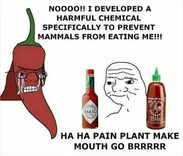 50 Spot-On Science Memes That Might Make You Feel Smarter