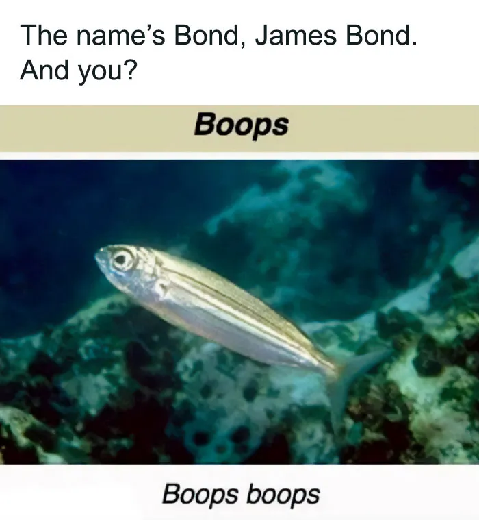 50 Spot-On Science Memes That Might Make You Feel Smarter