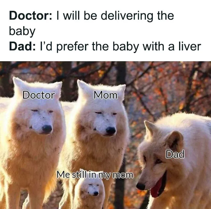 ‘Science Memes’: 50 Of The Most Relatable Posts That Perfectly Marry Knowledge And Humor