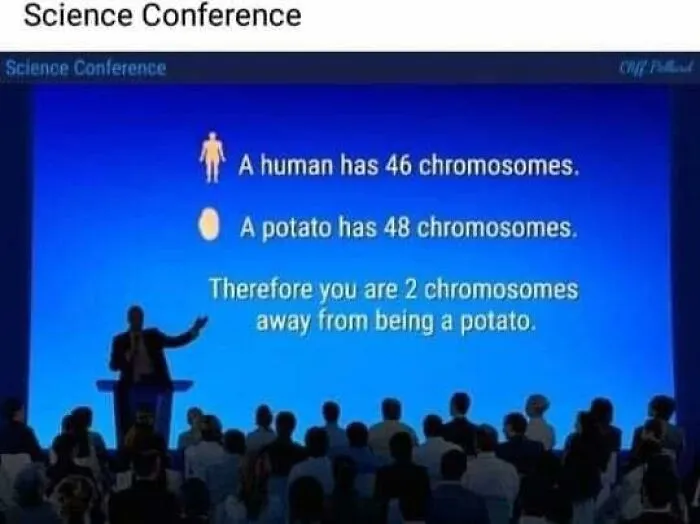 ‘Science Memes’: 50 Of The Most Relatable Posts That Perfectly Marry Knowledge And Humor