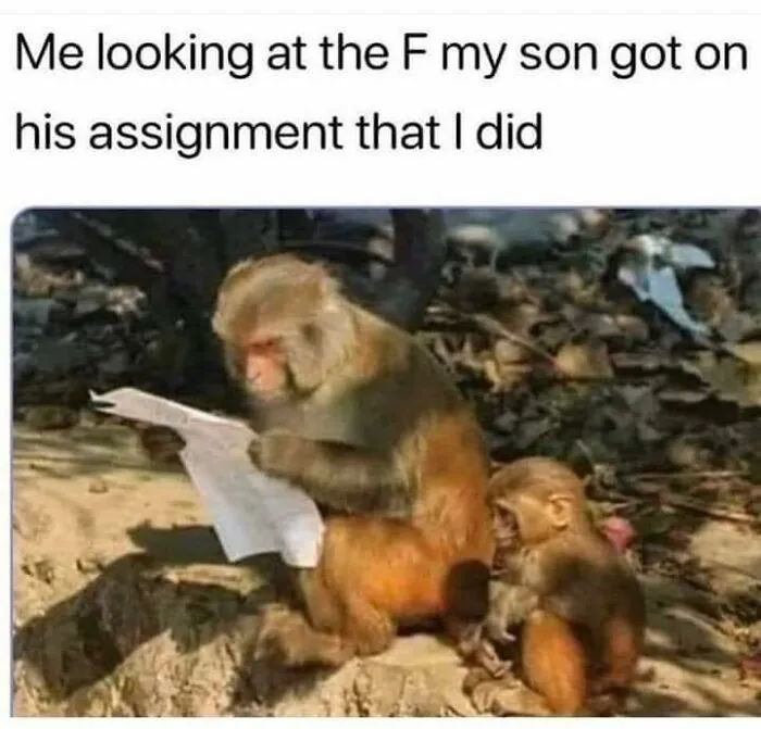 ‘Science Memes’: 50 Of The Most Relatable Posts That Perfectly Marry Knowledge And Humor
