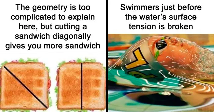 ‘Science Memes’: 50 Of The Most Relatable Posts That Perfectly Marry Knowledge And Humor