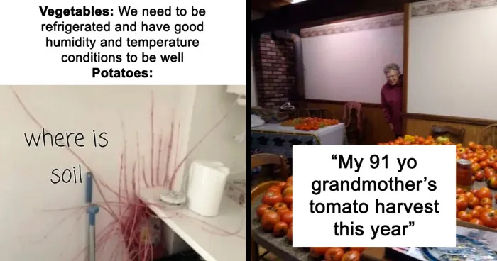 This Online Group Is All About Gardening, Here Are 50 Of The Most Interesting Posts (New Pics)
