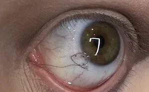 The “Make Me Suffer” Community Posts Unsettling Pics No One Wants To See, Yet They Can’t Stop Looking (30 New Pics)