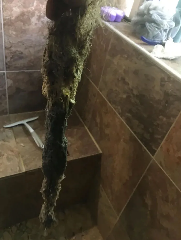 Unclogged My Sisters Shower Drain
