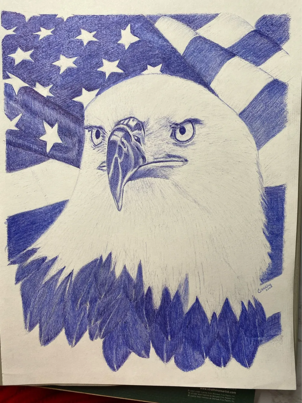 Blue Pen Drawing Bald Eagle