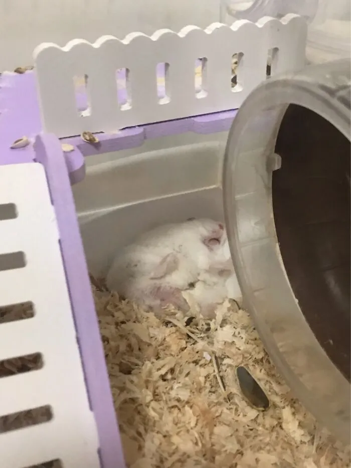 Don’t Worry, He’s Alive