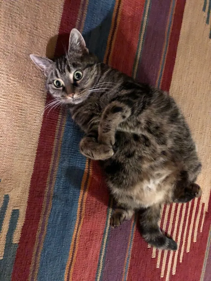 You Caught Me At The Wrong Moment