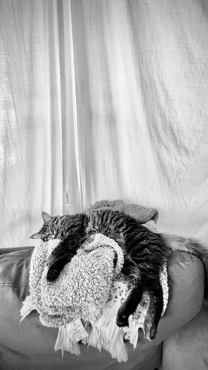 Draped