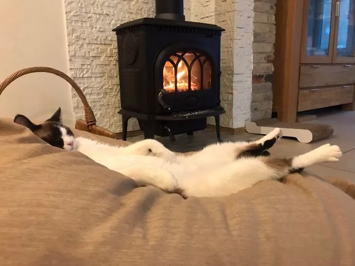 Relax