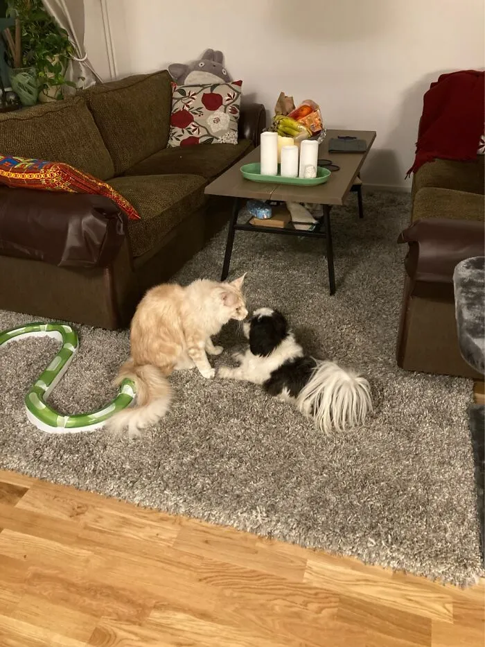 Love And Kisses