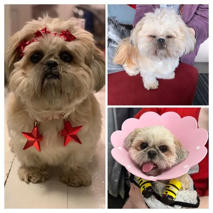 She Is Always Derp