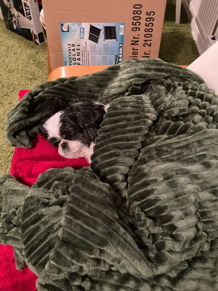 Sooo Snuggly