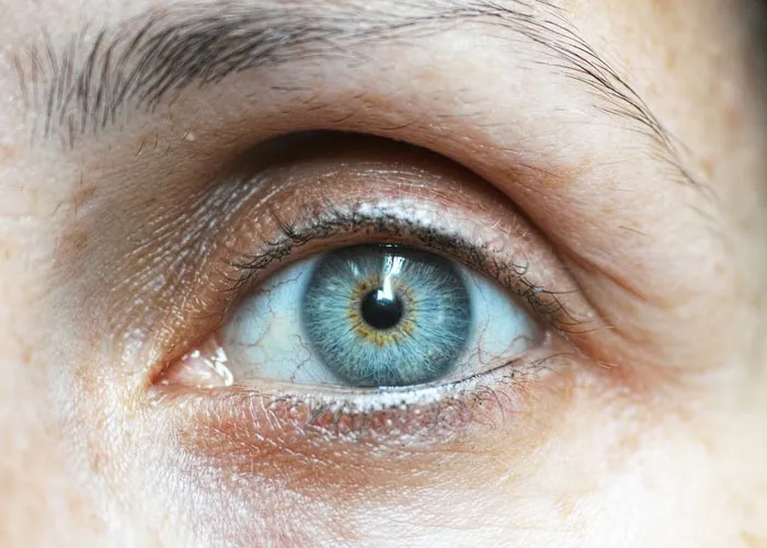 “Human Body Facts That Will 100% Trigger You”: 27 Obscure Yet Terrifying Facts About Us Revealed By This TikToker