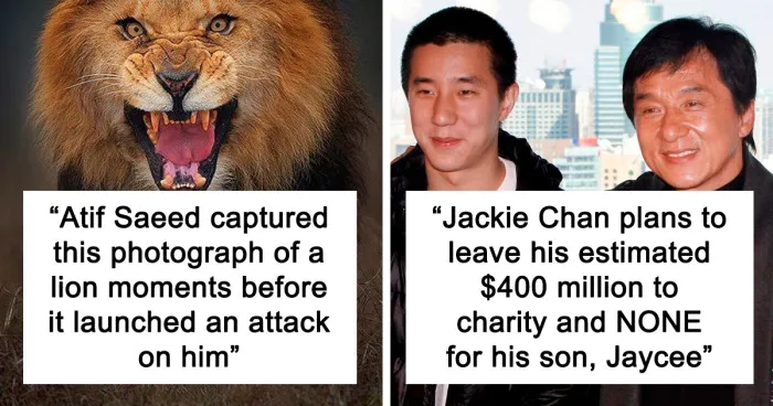 50 Random Facts That Sound Strange But Are True, As Shared By This Twitter Account (New Pics)