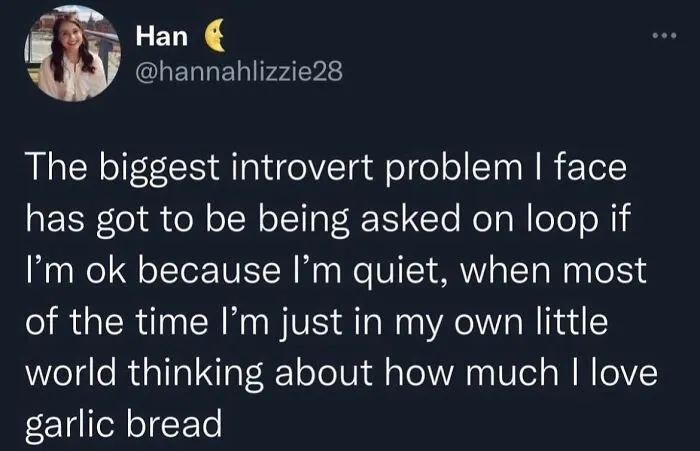 “Introvert Problems”: 50 Of The Funniest Jokes That Sum Up Life As An Introvert