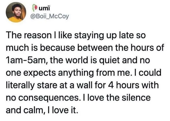 Introvert-Problems-Funny-Pics