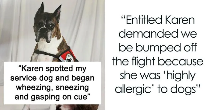 “Karen, Of Course, Screeches For A Supervisor”: Karen's Fake Allergy To Service Dog Backfires As The Airline Upgrades The Owner To First Class