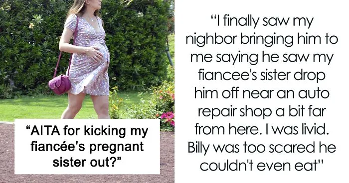 Man Gives His Pregnant SIL The Boot Upon Finding Out She Abandoned His Cat On The Streets