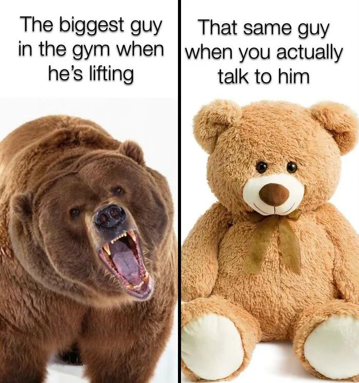 78 Gym Memes That Only True Gym Rats Can Relate To