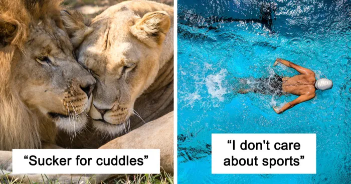 Somebody Asked Men Online “What Male Stereotypes Don’t Apply To You?”, 33 Delivered 