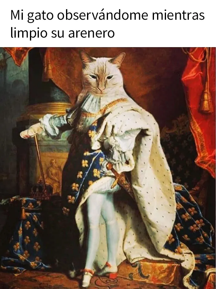 25 Divertidos memes de arte con los que te partirás de risa