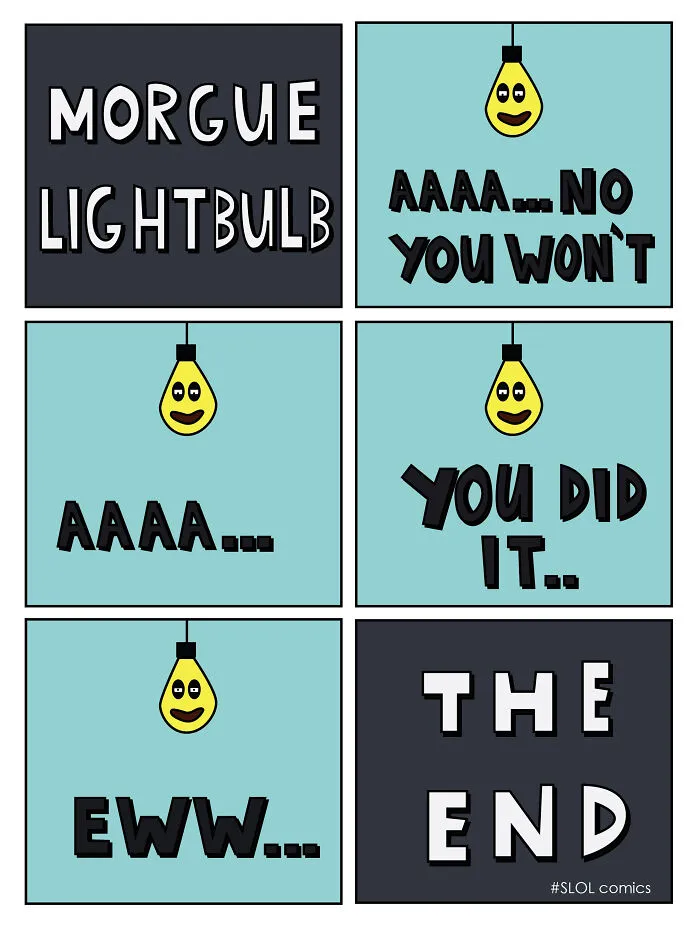 My 30 Comics Showing The Perspective Of A Lightbulb In A Funny Way