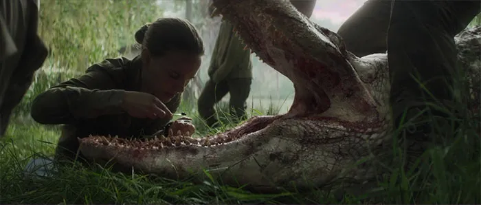 Annihilation