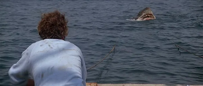 Jaws