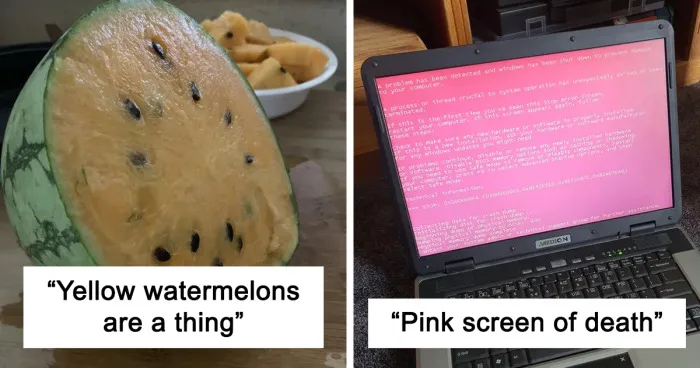 40 Unusual Things People Came Across That Made Them Think They’d Entered A “Parallel Universe”