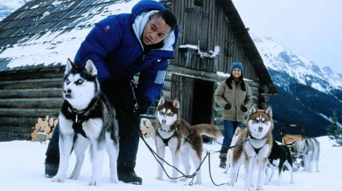 30 Films That Proved To Be Completely Different From What The Trailer Promised