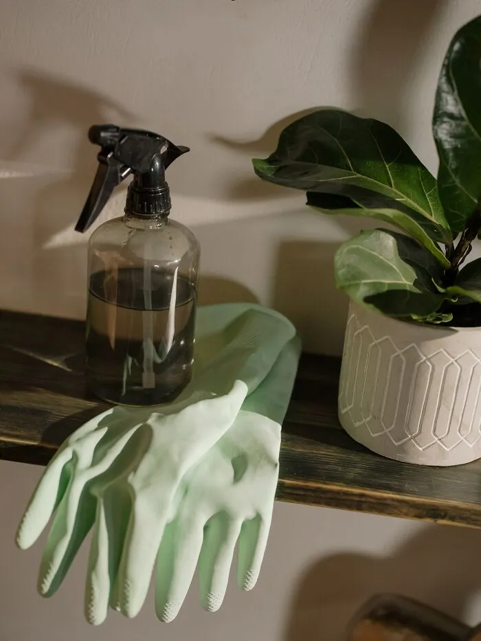 Spray With Gloves Near A Plant 