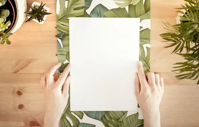 Plants Paper On The Table 