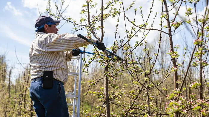35 Weird Hobbies People Enjoy In Their Spare Time