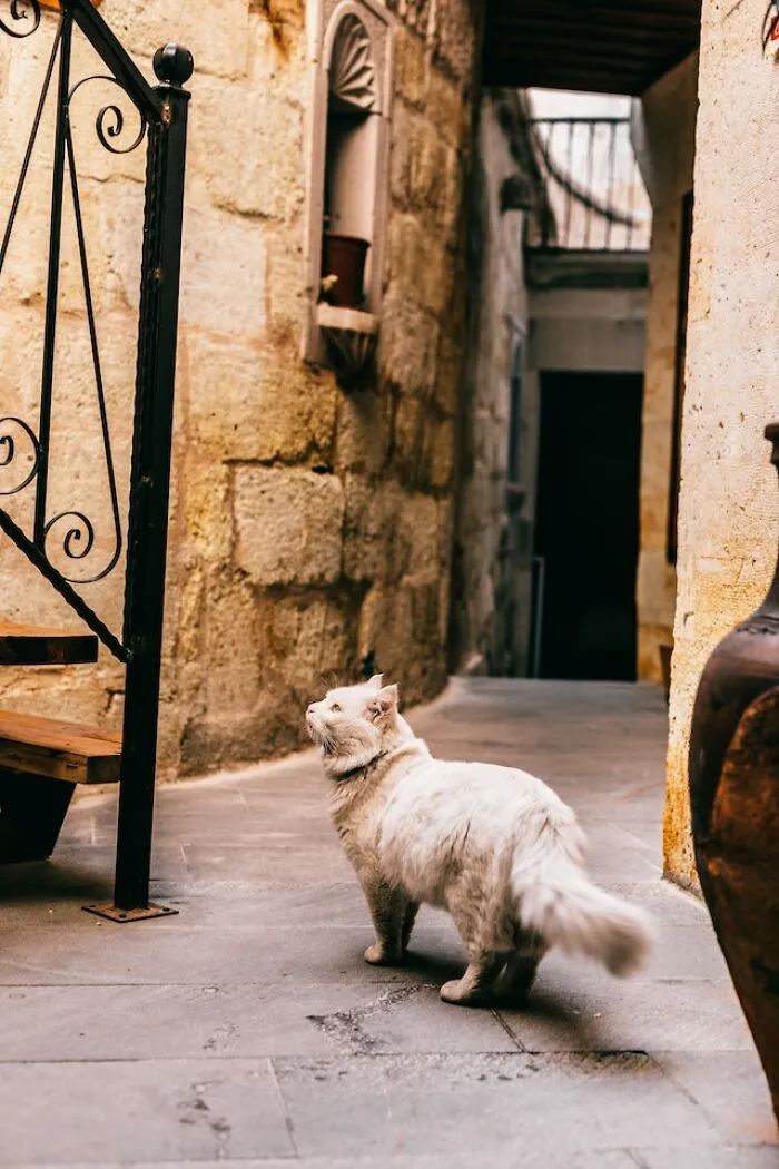50 Hilarious Bits Of Small-Town Gossip That May Make You Regret Living In The Big City