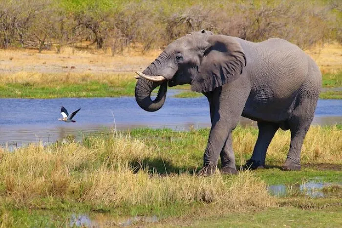 “Today I Learned”: 40 Lesser-Known Things About The World That Should Be Common Knowledge (New Pics)