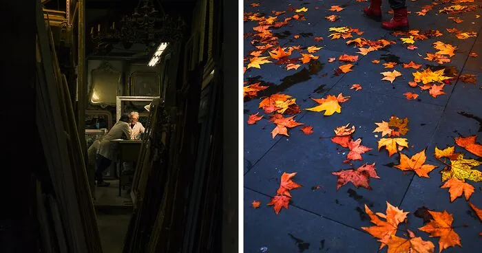 I Took A Photo Every Day For A Year, And Here Are The 33 Best Ones